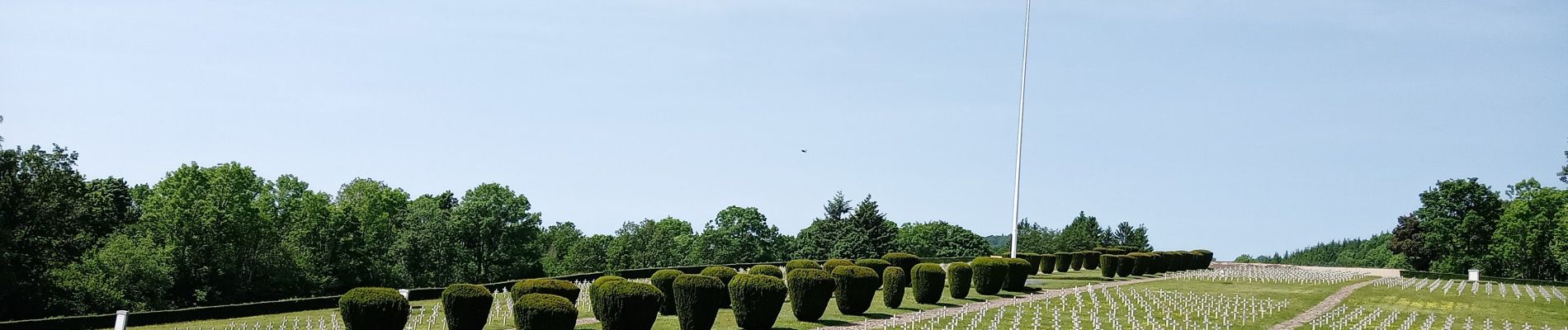 Randonnée Marche Soultz-Haut-Rhin - Croix Zimmermann - Vieil Armand (17/06/2021) - Photo