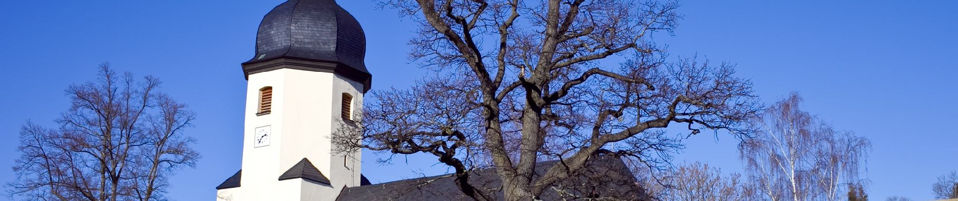 Tour Zu Fuß Eibenstock - Talsperrenrundweg - Photo