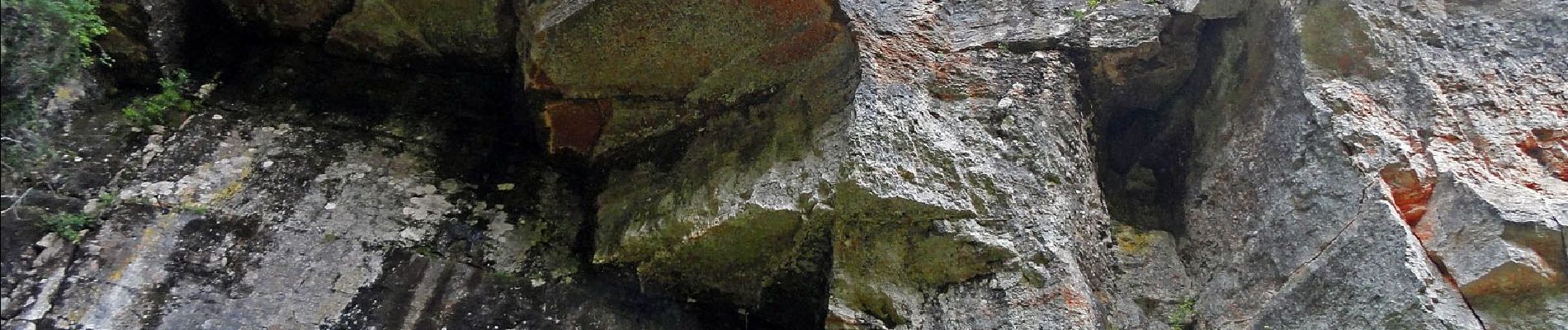 Percorso A piedi Selva di Progno - Dorsale Media della Lessinia - sezione Campofontana - Camposilvano - Photo