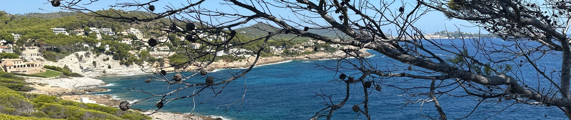 Trail Walking Capdepera - Punta de morràs - Photo