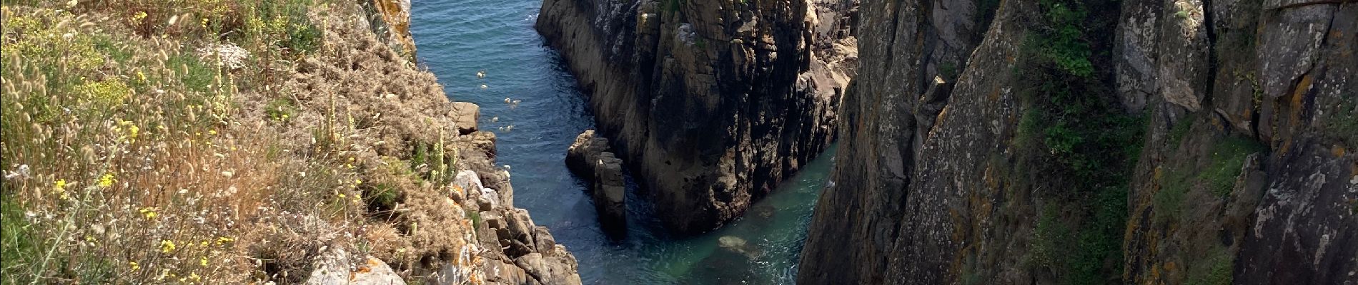 Randonnée Marche L'Île-d'Yeu - Yeu  - Photo