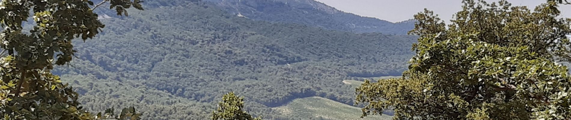 Randonnée Marche Séguret - Seguret - Ruines de Prebayon - Photo