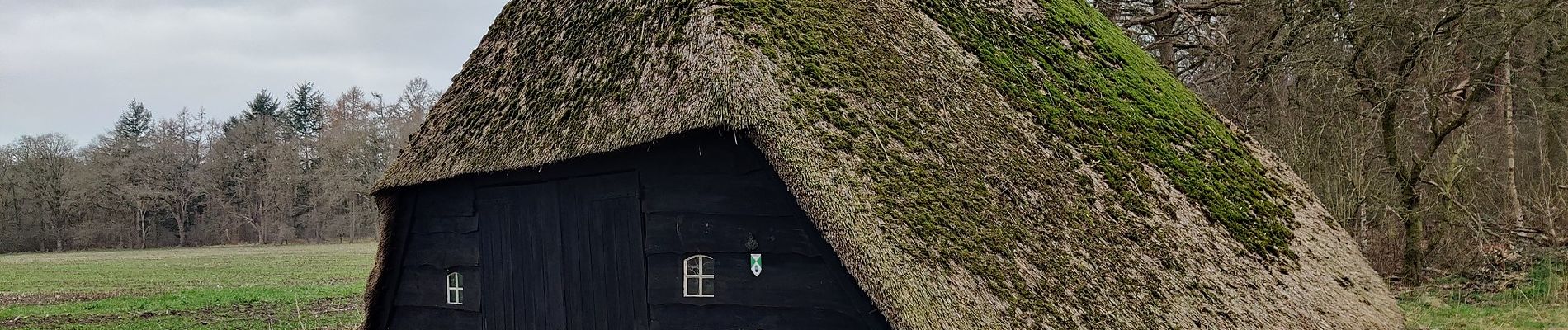 Tocht Te voet Dalfsen - WNW Vechtdal - Sterrenbosch - groene route - Photo