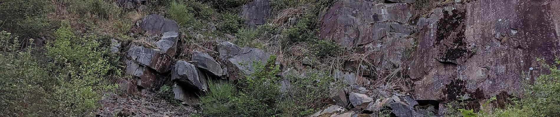 Tour Zu Fuß Wiehl - Marienhagen Rundweg A4 - Photo