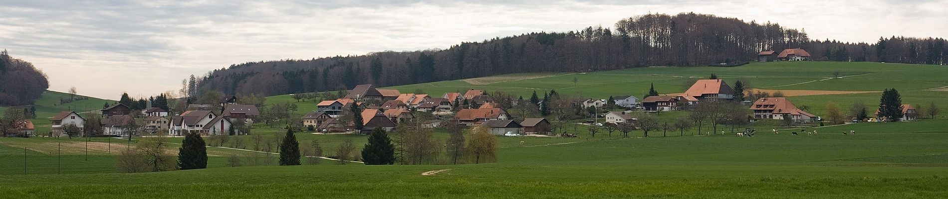 Percorso A piedi Oberwil bei Büren - Oberwil - Forsthaus Biezwil - Photo