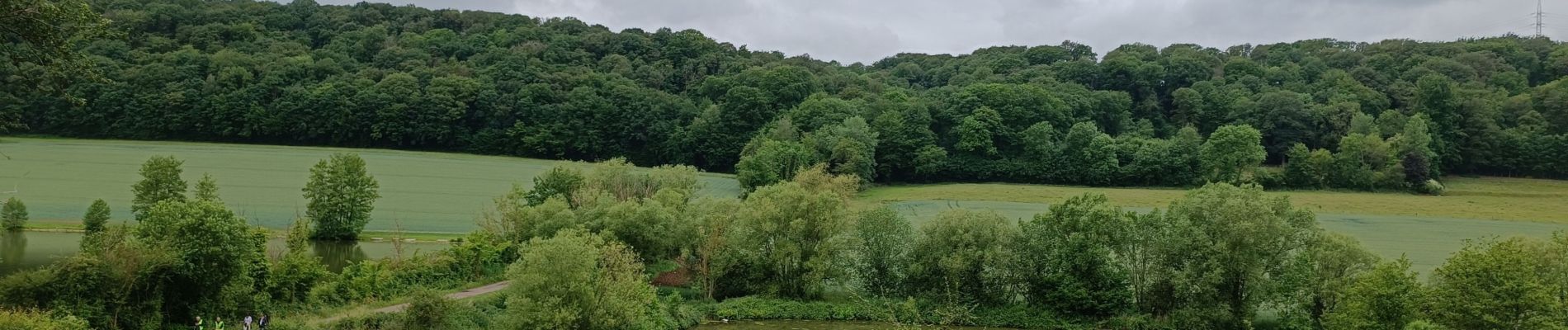 Tocht Stappen Thuin - Abbaye d'aulne  - Photo