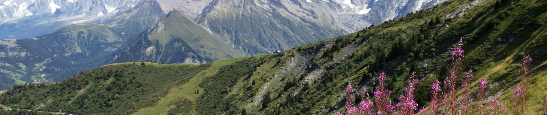 Tour Wandern Megève - Mont JOLY - Photo