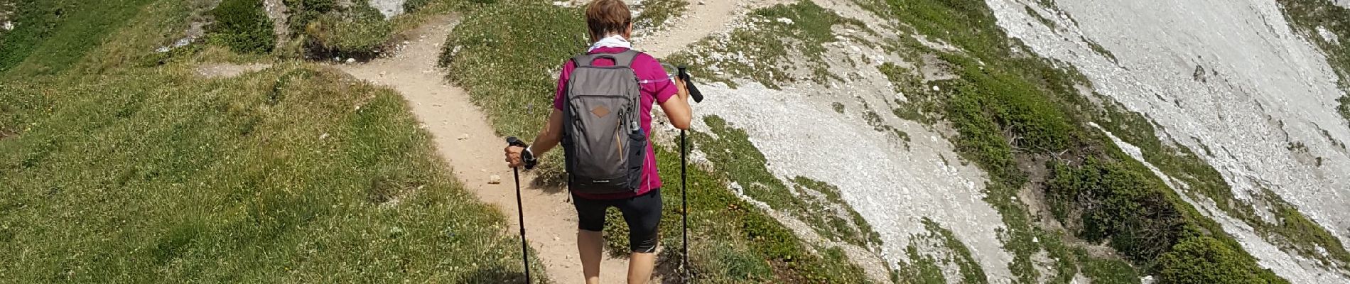 Tocht Stappen Pralognan-la-Vanoise - Pralognan - la crête du mont Charvet - Photo