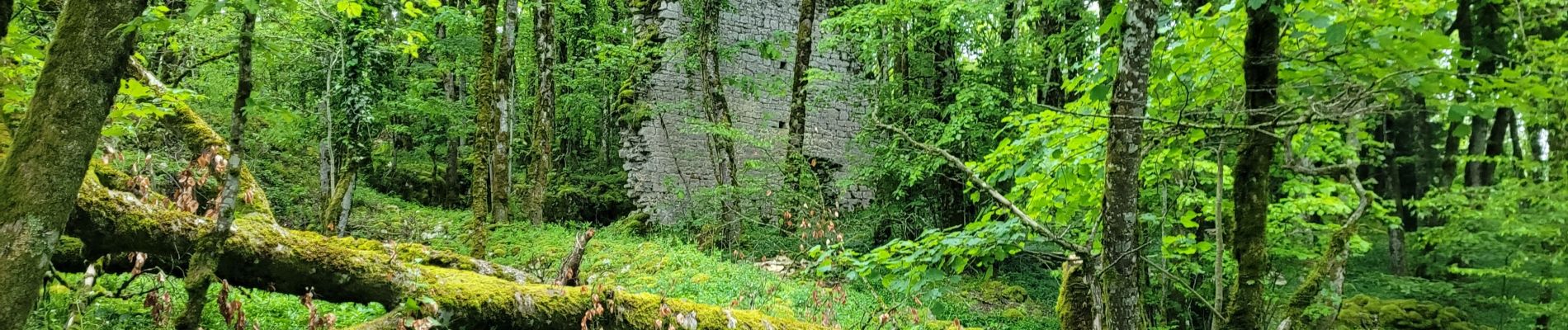 Tour Wandern Les Planches-près-Arbois - la reculée des planches - Photo