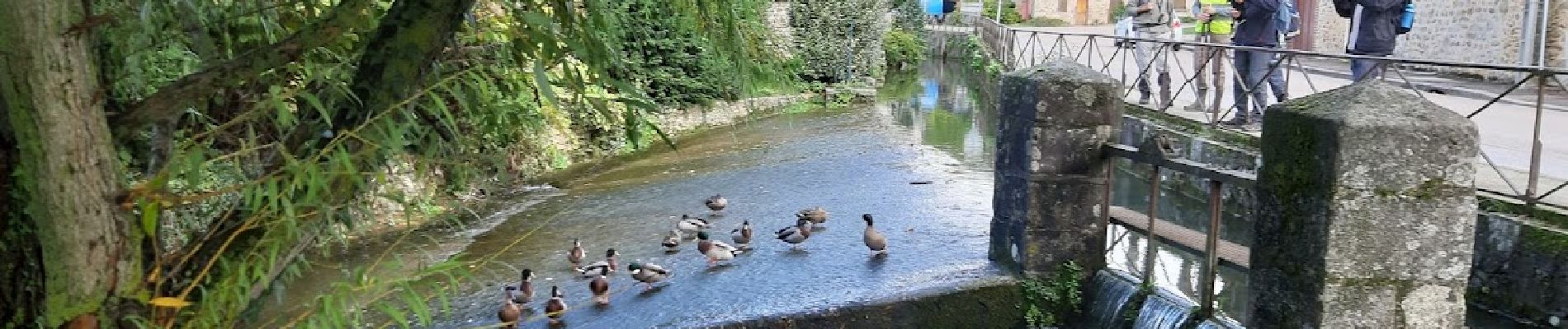 Randonnée Marche Villenauxe-la-Grande - VILLENAUXE LA GRANDE 1 - Photo