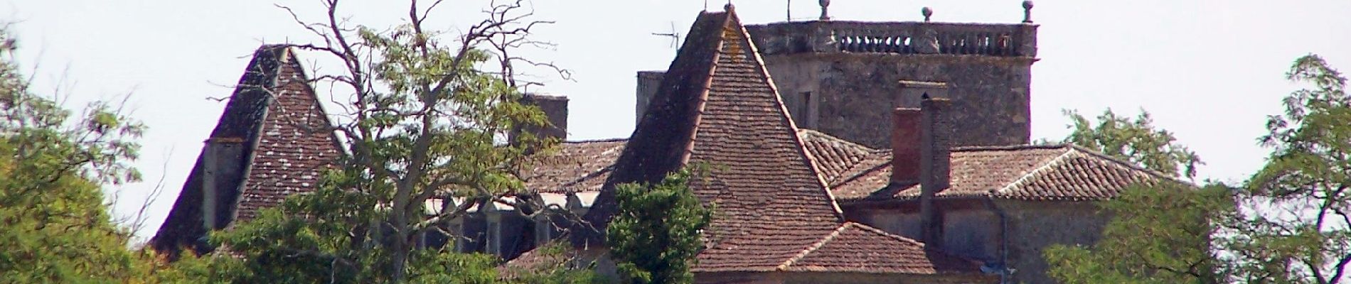 Tour Zu Fuß Castets et Castillon - Les Deux Rives : boucle locale - Photo