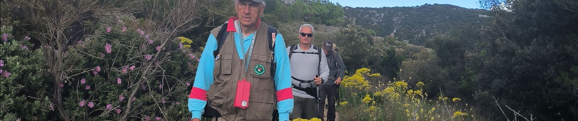 Trail Walking Gémenos - la dent de fourcade - Photo