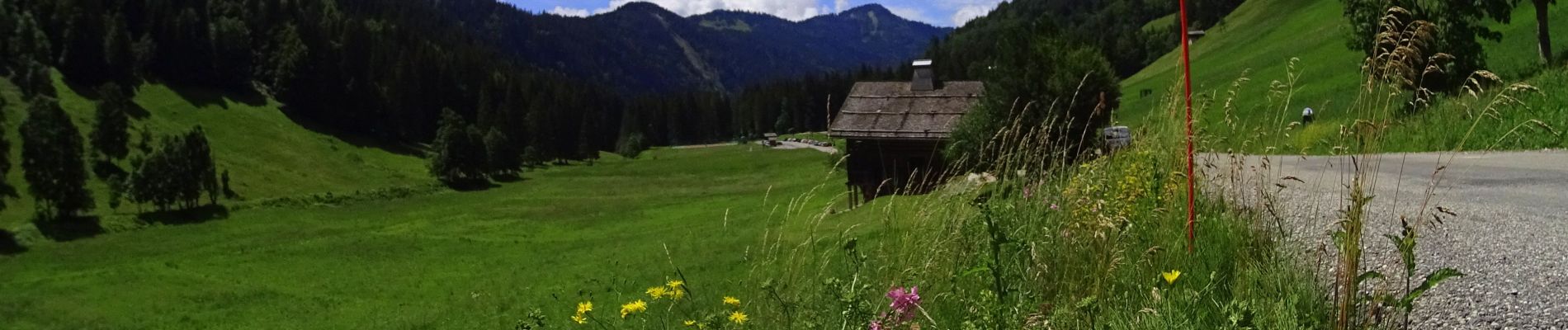 Excursión Bici de montaña Le Grand-Bornand - vtt-dans-la-vallee-du-bouchet - Photo