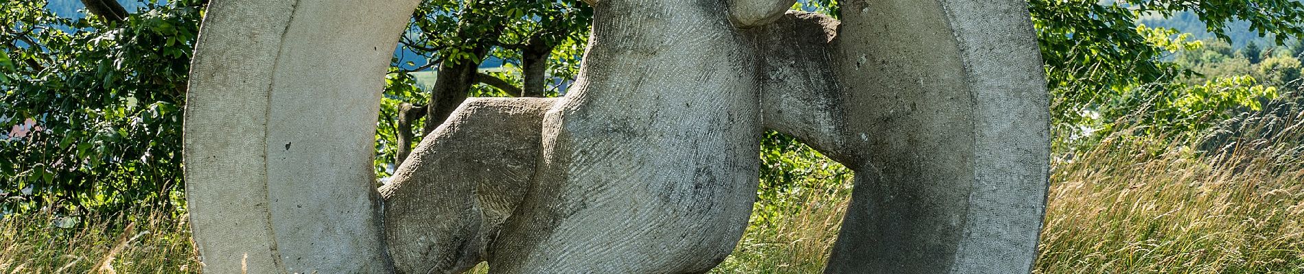 Tocht Te voet Mistelgau - Obernsees Neubürg-Rundweg - Photo