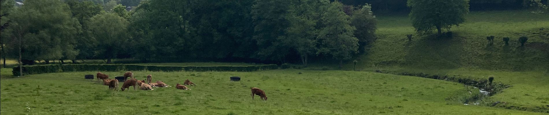 Tocht Stappen Olne - Ayneux - Photo