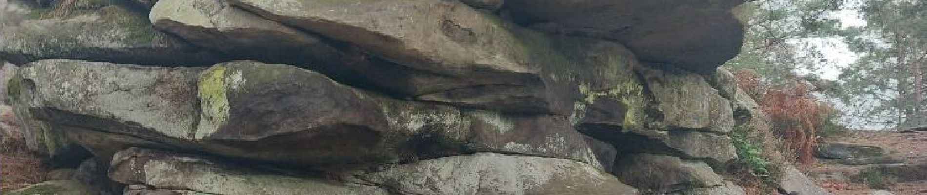 Point d'intérêt Fontainebleau - Z - La Roche Feuilletée - Photo