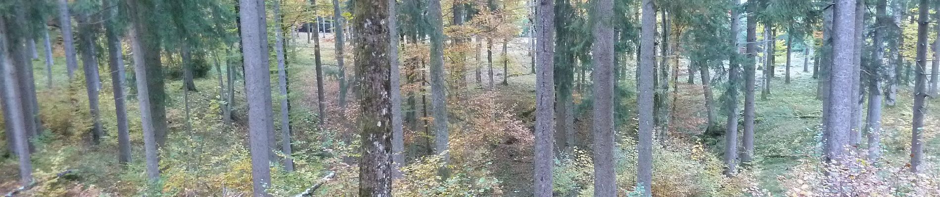 Tocht Te voet Schwäbisch Gmünd - Nebenlinie: Rosenstein Wegspinne - Degenfeld - Photo