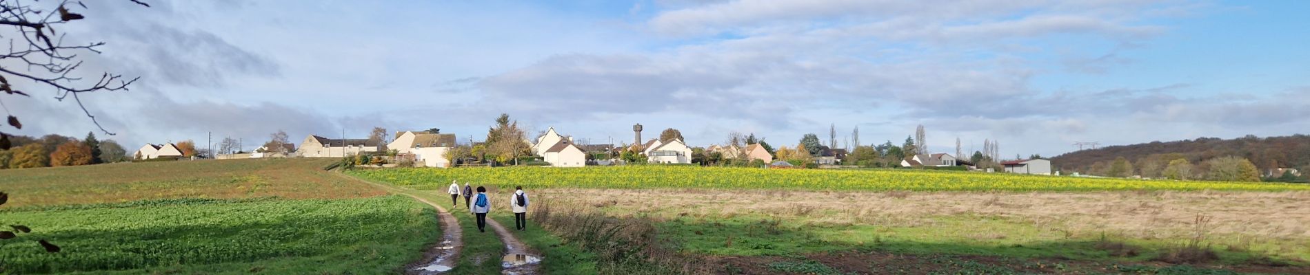 Percorso Marcia Limours - Essonne_RD_Limours=>Bois-Forges=>Chardonnet=>Golf(V2) - Photo