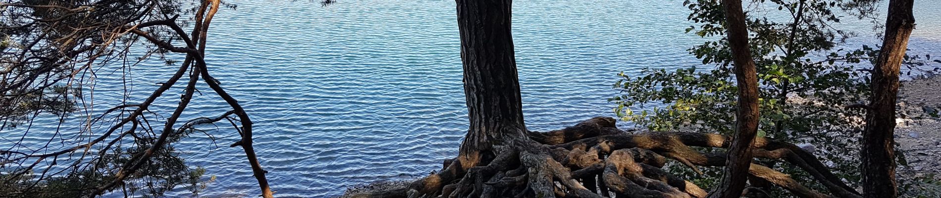 Tocht Stappen Le Lac-d'Issarlès - issarles - Photo