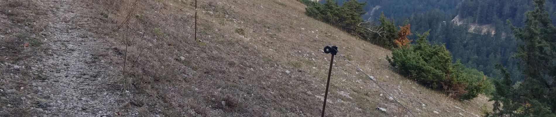 Randonnée Marche Lus-la-Croix-Haute - sarrier grimone col de lus - Photo