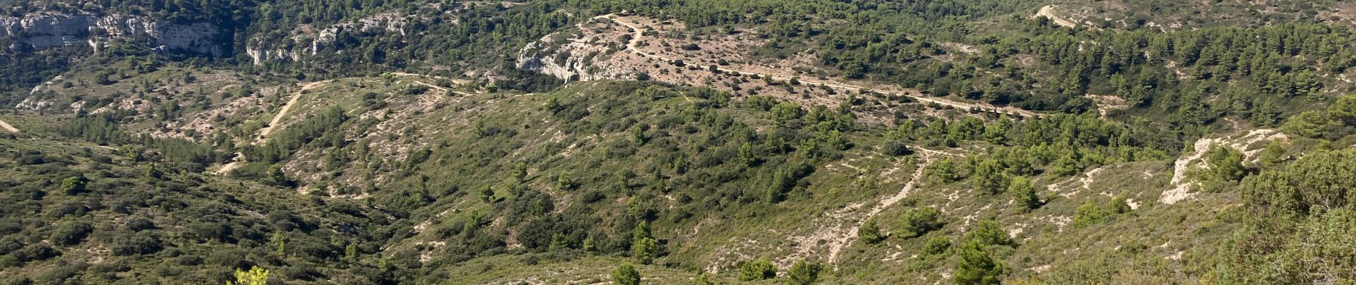 Randonnée Trail Cheval-Blanc - Mayorques-Pradon-Tête ds Buisses-16082023 - Photo