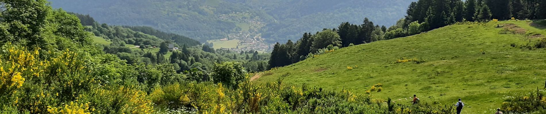 Randonnée Marche Ventron - Col d'Oderen Grand Ventron 19km D+ 906m 20230604 - Photo