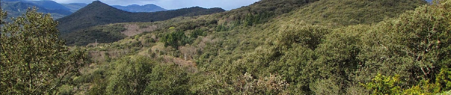 Tour Wandern Faugères - Les Moulins de Faugères - Pic de Tantajo - Photo