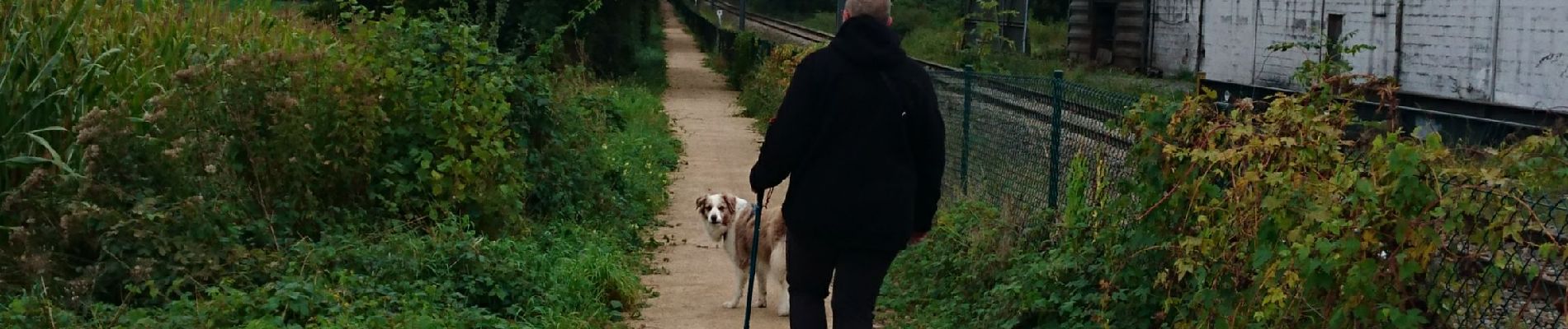 Trail Walking Welkenraedt - boucle Welky Henri Chapelle  - Photo