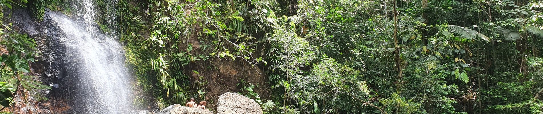 Trail Walking Sainte-Rose - Saut des Trois Cornes, en boucle depuis les sources de Sofaia - Photo