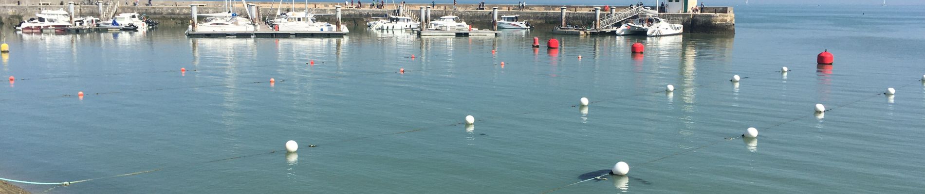 Tour Wandern Rivedoux-Plage - Rivedoux plage - Photo