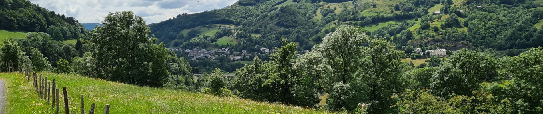 Randonnée Marche Saint-Jacques-des-Blats - St Jacques des Blats Font de Cere Super Lioran Les Gardes - Photo