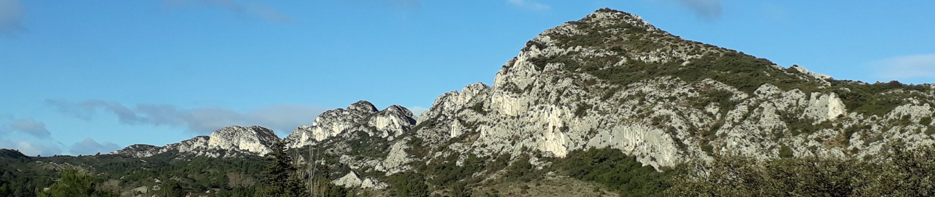 Randonnée Marche Eygalières - Eygalières et les Calans  - Photo