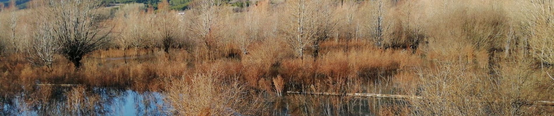 Trail Walking Embrun - EMBRUN de ville haute jusqu'au lac (observatoire) - Photo