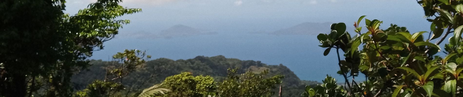 Randonnée Marche Saint-Claude - La Soufrière - Photo