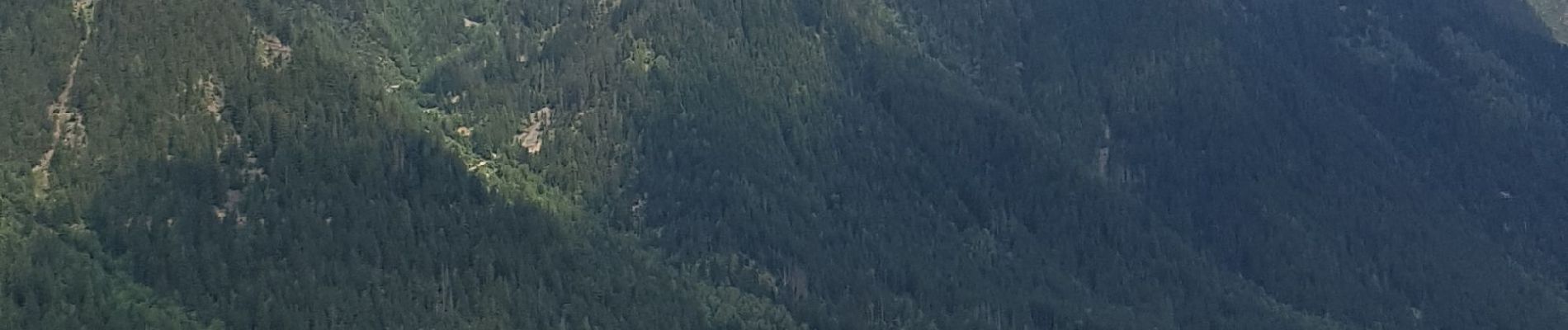 Excursión Senderismo Chamonix-Mont-Blanc - Chamonix départ parking du Biolay derrière cimetière  - Photo