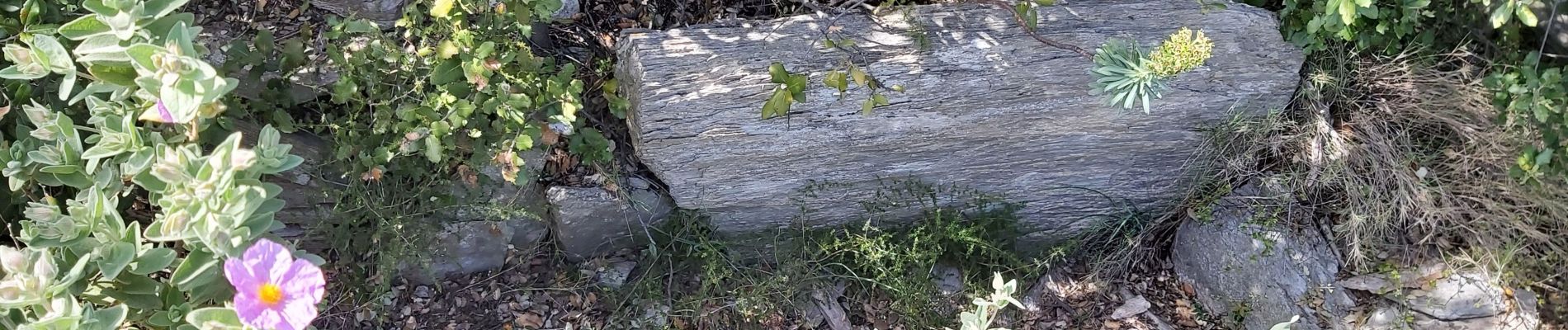 Tour Wandern Caunes-Minervois - 26 avril 2023 - Photo