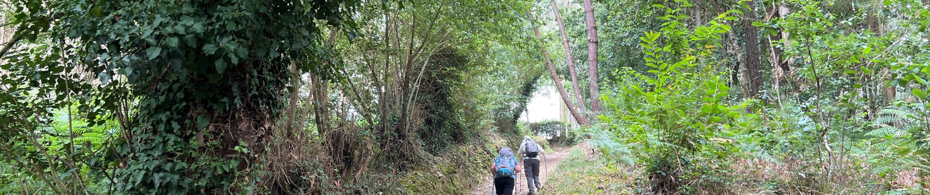 Trail Walking Betanzos - 2024 Camino Ingles 5 - Photo