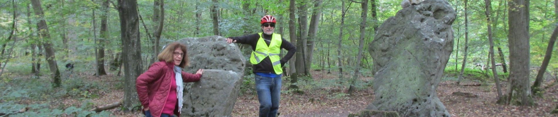 Excursión Bicicleta híbrida Puente-San-Maxence - halte menhirs d' iderolles - Photo