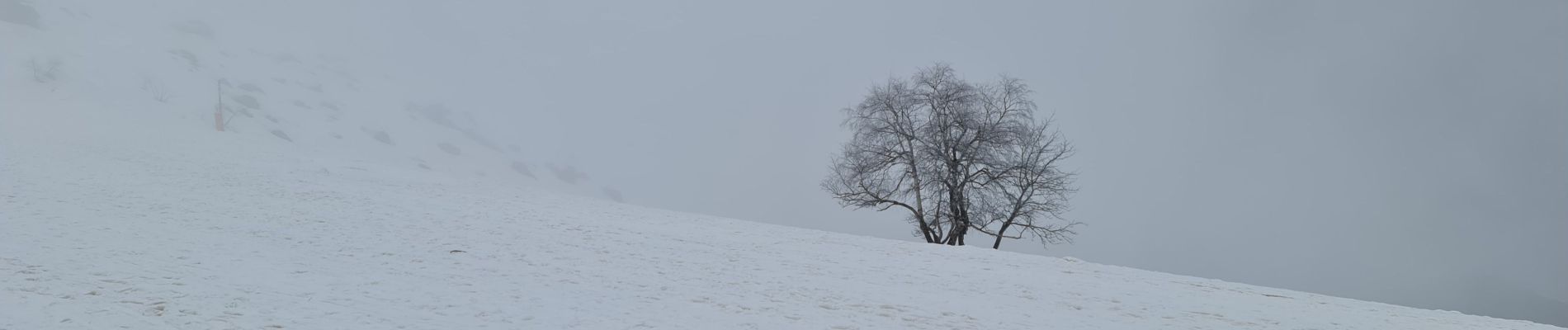 Tocht Noords wandelen Aragnouet - Piau-Engaly: Petite boucle du Lac - Photo