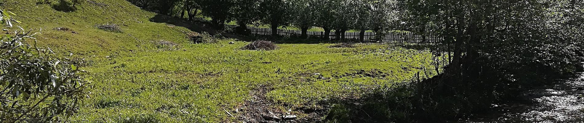 Tocht Te voet Onbekend - Podu Dâmboviței - Curmătura Ghimbavului - Canton Forestier Andolia - Photo