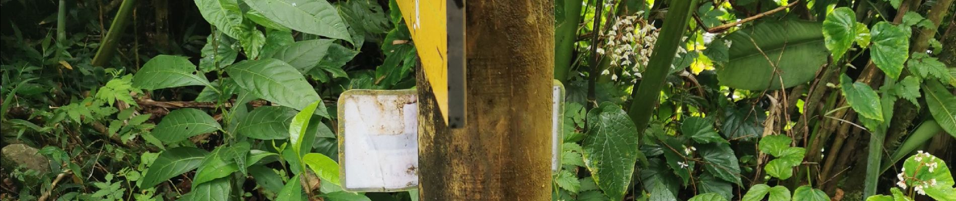 Randonnée Marche Bouillante - Traces des 3 crêtes  - Photo