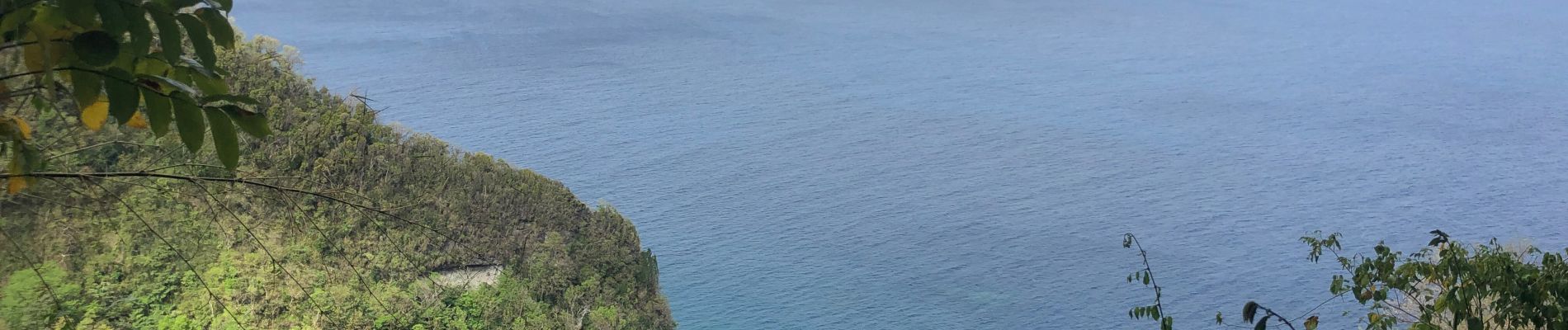 Tour Wandern Le Prêcheur - AR anse couleuvre- grande rivière (avec un arrêt au retard à l’anse à voile) - Photo