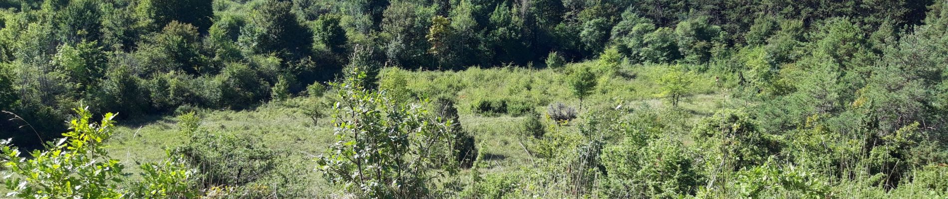 Tour Wandern Parigny-les-Vaux - parigny les vaux  - Photo