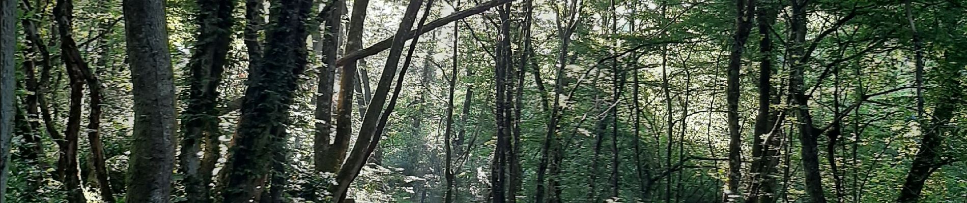 Randonnée Marche Barizey - Bourgogne à pied - Photo