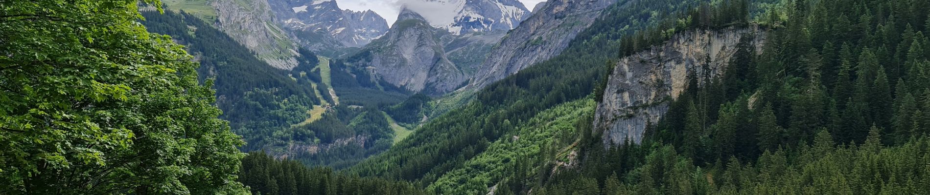 Tour Wandern Pralognan-la-Vanoise - La Cholière  - Photo