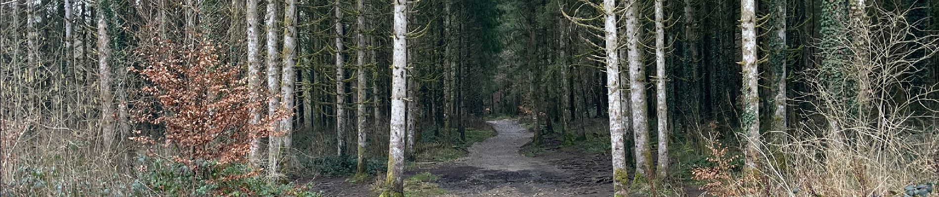 Trail Walking Menétrux-en-Joux - cascades des herissons - Photo