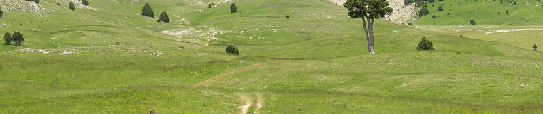 Trail Walking Gresse-en-Vercors -  Pas des Baschassons - Carrière romaine - Pas de la Selle - Photo