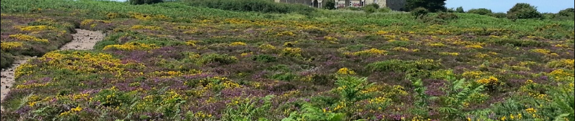 Percorso Marcia Plévenon - Cap Fréhel - 2017 06 22 - Photo