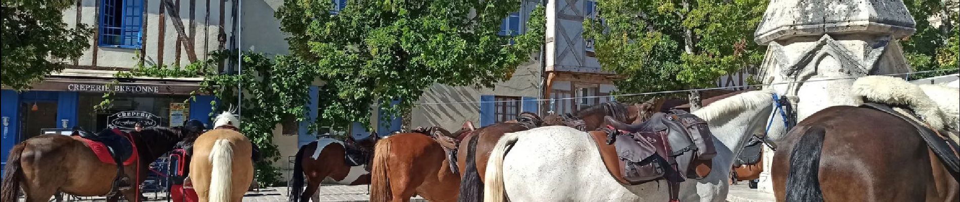 Punto di interesse Provins - Place du Chatel - Photo