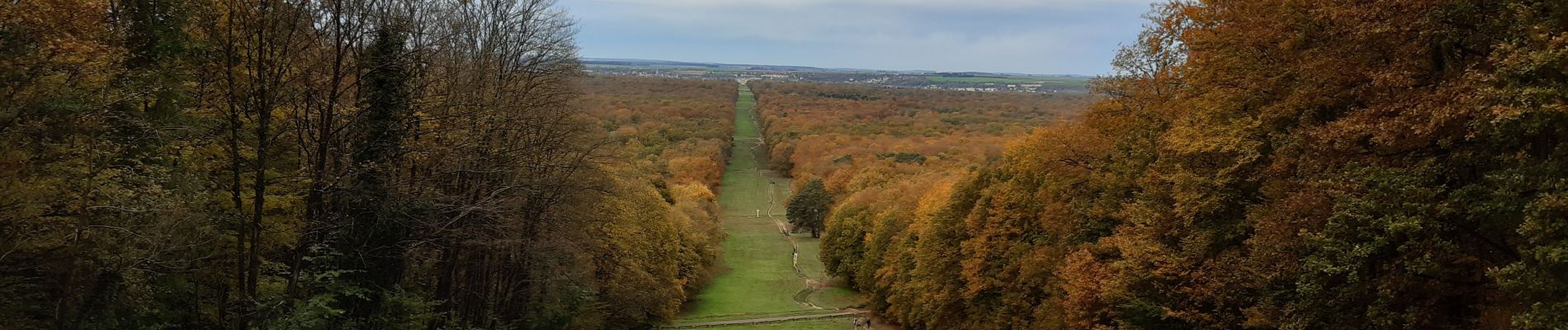 Tocht Stappen Compiègne - Forêt de Compiègne - Photo